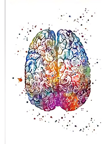 Cuadro 40x60cm Watercolor Medicina Cuerpo Humano Cerebro