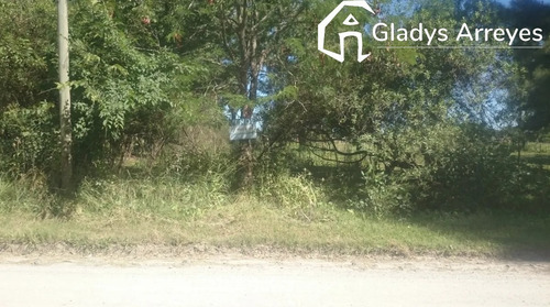Imagen 1 de 2 de Lote De 17x47 (en Punta Indio).