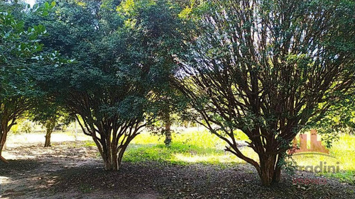 Imagem 12 de 20 de Chácara Com 2 Dormitórios À Venda, 2180 M² Por R$ 290.000,00 - Zona Rural - Barra Bonita/sp - Ch0141