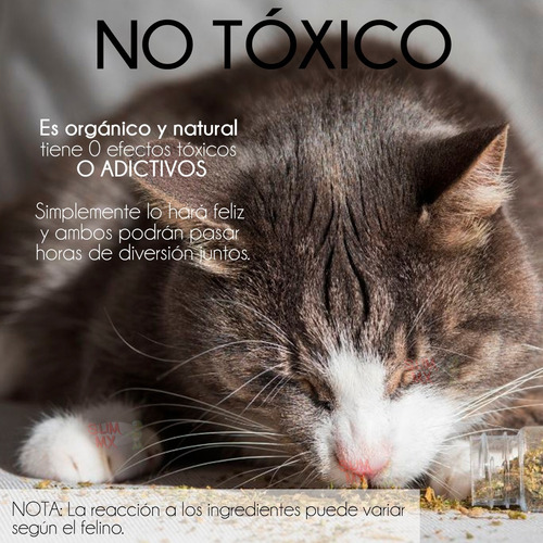 Atrayente Catnip Para Gatos Hierba Gatera Natural 12 Gramos Color Verde musgo