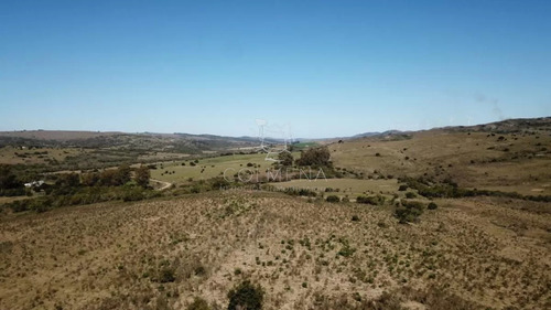 Campo 86 Has 6937 M2 En La Cañas