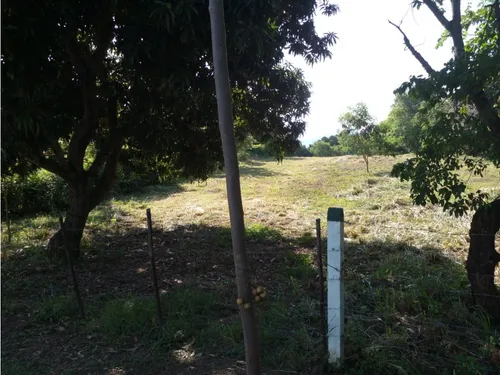 Vendo O Permuto Lote En Ricaurte Via Agua De Dios
