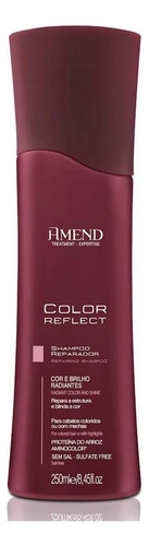 Shampoo Reparador Color Reflect Amend 250ml