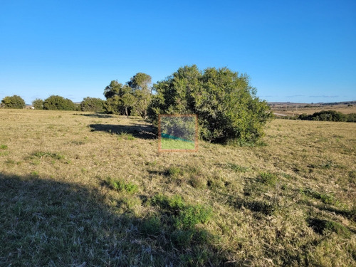 Imagen 3 de 11 de Campo 67 Hás Zona Pueblo Edén