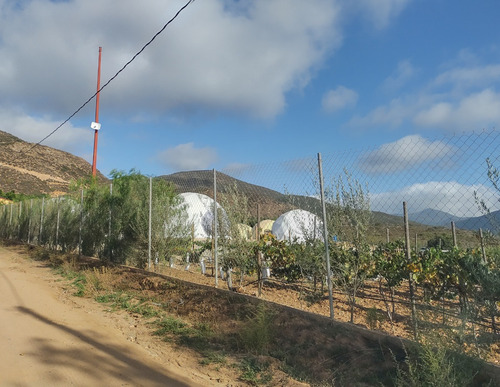 En Venta Terreno De 2500 Mts Opcion A 1 Hectarea En San Antonio De Las Minas, Prop. Privada, Rustico, En Loma Vista, Ruta Vino