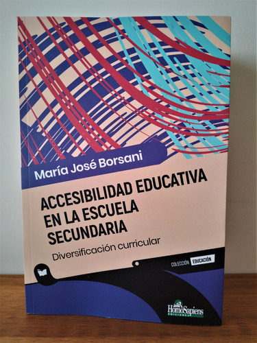 Accesibilidad Educativa En La Escuela Secundaria, De María José Borsani., Vol. 1. Editorial Homosapiens, Tapa Blanda En Español, 2023