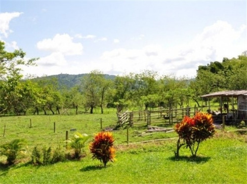 Imagen 2 de 29 de Venta Finca En Santagueda. Cod:305599