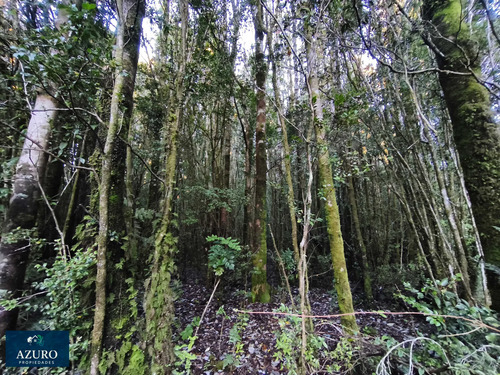 Espacio Ideal 6 Hás, Automó, Puerto Montt. (176432)