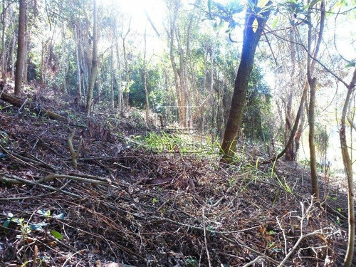 Imagem 2 de 6 de Terreno - Itaipava - Ref: 976 - V-976