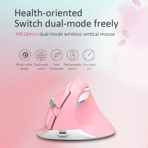 Fastfastratón Inalámbrico Delux M618mini, Ergonómico, Vertic