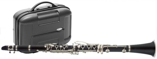 Clarinete Stagg De Fibra Nuevo Original 17 Teclas 6 Anillos