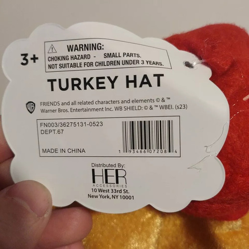 Friends Sombrero Dia De Accion De Gracias Pavo Con Gafas Color Turkey Hat