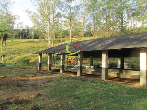 Imagem 19 de 24 de Sítio A Venda Chácara Da Lagoa - Vch0602