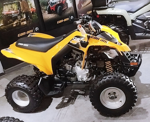 Imagen 5 de 15 de Can Am Ds 250 0km En Automoto Lanus