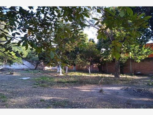 Imagen 2 de 8 de Terreno Comercial En Venta Itzamatitlan
