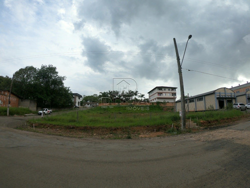 Imagem 1 de 11 de Terreno - Sao Luiz - Ref: 29513 - V-29511