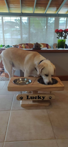 Comedor Para Perros Y Gatos Con Tazas, Comida Y Agua 