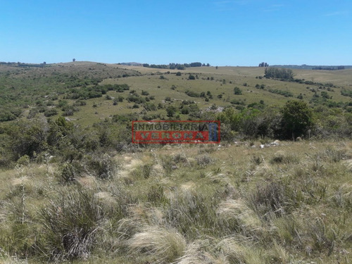 Imagen 10 de 16 de Campo En Carape - Departamento De Maldonado