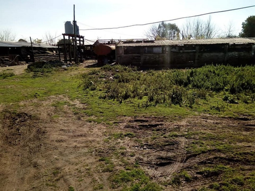Excelente 5 Hectáreas En Esquina Con 2 Casas Y Galpones