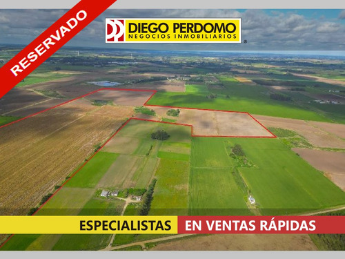 Campo De 65,5 Has En Venta, Próximo A Libertad