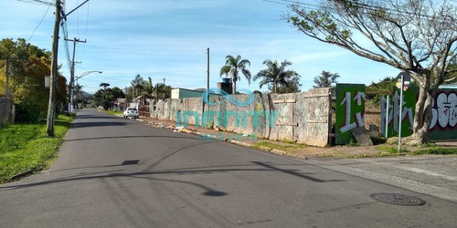 Imagem 2 de 7 de Terreno, Bom Sucesso, Gravataí - R$ 550 Mil, Cod: 572 - V572