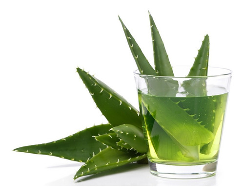 Imagen 1 de 1 de Aloe Vera Líquido (sábila) 1 Kg 100% Natural Y Puro