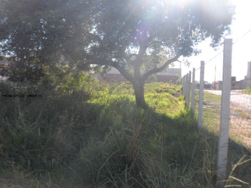 Terreno Para Venda Em São José Dos Pinhais, São Sebastião - 00290_2-1143810