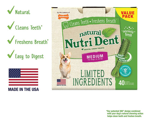 Dental Chew Treats Nylabone Nutri Dent Sabor A Aliento Fresc