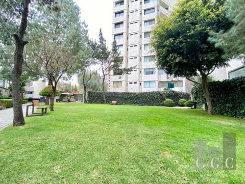 Imagen 24 de 30 de Vive Como En Una Gran Casa Con Jardín Propio De 700m2