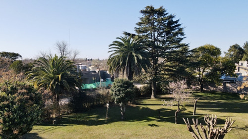 Imagen 6 de 16 de Venta | Quinta En S.a. De Areco