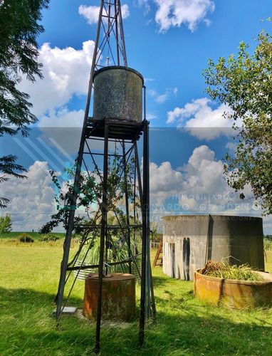 Campo Agrícola-ganadero, 137 Há En Colonia | Sobre Ruta 21