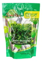 Comprar 13.600 Semillas De Limón Swinglea Limoncillo De Cerca Viva