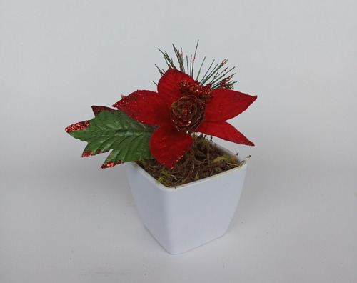 Kit Mini Arranjos Bico De Papagaio Flor De Natal No Caixote | Parcelamento sem juros Kit Mini Arranjos Bico De Papagaio Flor De Natal No Caixote | Parcelamento sem juros