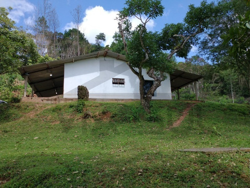 Imagem 12 de 30 de Sítio De 3,5 Alqueires, Excelente Localização! Com Área Aberta Para Criação Recreativa E Mata Nativa Para Trilha E Caminhada.. - 237 - 69821549