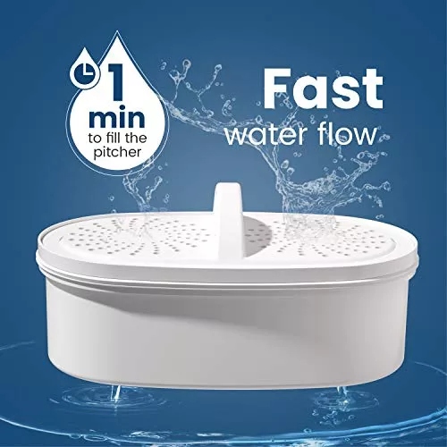 Waterdrop - Jarra con filtro de agua para 10 tazas, incluye 1 filtro