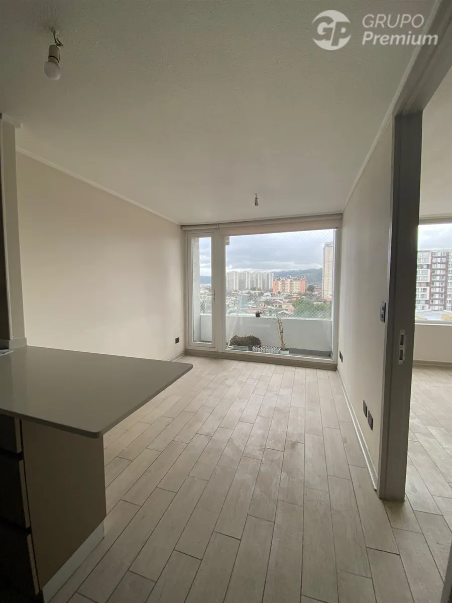 Imagen 3 de 10 de Departamento En Arriendo De 1 Dorm. En Concepción