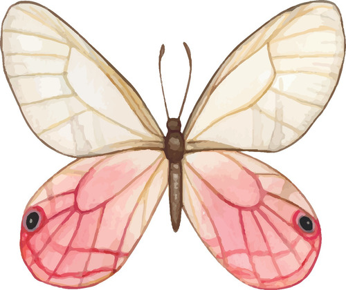 Clipart Mariposas Acuarela 2