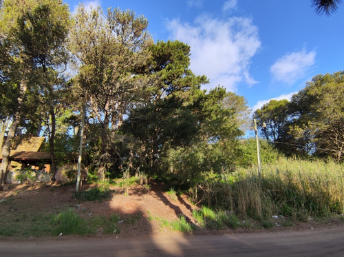 Pinamar/valeria Del Mar : Hermoso Terreno, Alto, Arbolado,gas Nat/agua Corriente