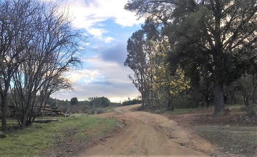 Cauquenes Viñas Y Forestal, 2 Tranques (70047)