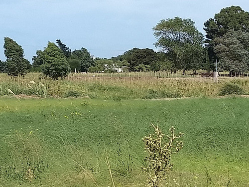 Lote Quinta En Reta