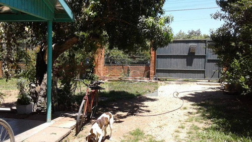 Imagem 15 de 18 de Casa À Venda No Lami - Ca0828