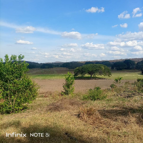 Imagen 3 de 14 de Venta De Finca, Vía Altagracia De Orituco, Att Eb- Ln