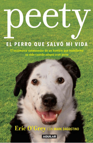Peety, El Perro Que Salvó Mi Vida. El Testimonio Conmovedor 