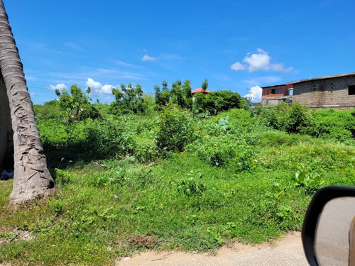 Imagen 7 de 20 de Posada Ubicada En Sabana Del Tirano, El Tirano