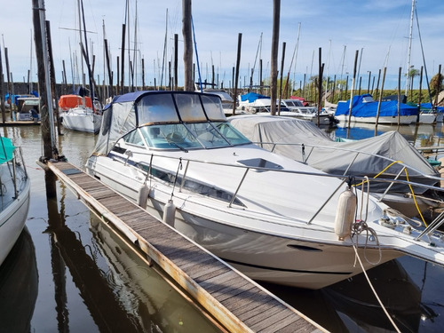 Wellcraft 28 Martinica Dario Sacco Broker