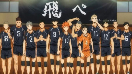 Bandera De Anime Haikyuu - Fly - Animeras