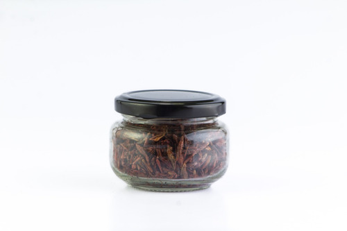 Mezcal 750ml Cenizo, Sal De Gusano Y Chapulines Asados.