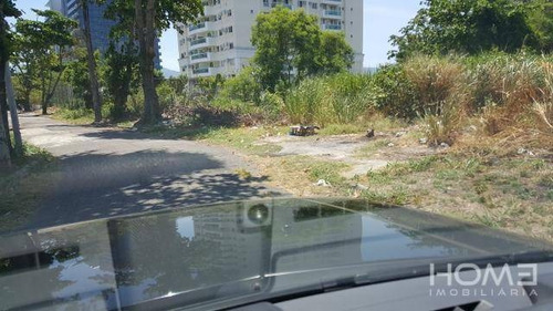 Imagem 8 de 14 de Terreno À Venda, 1290 M² Por R$ 3.490.000,00 - Recreio Dos Bandeirantes - Rio De Janeiro/rj - Te0039