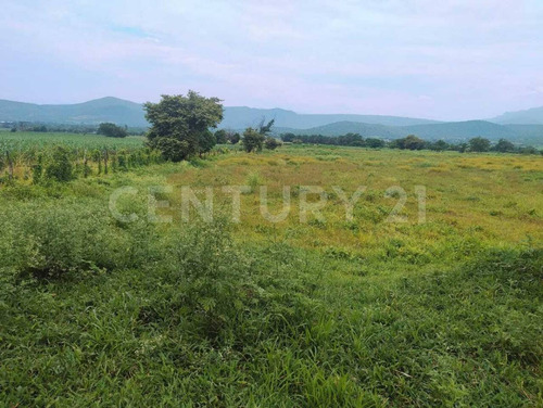 Terreno Rustico En Venta Miacatlán Mor.
