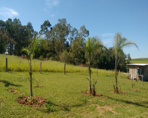 Chácara 1.320 M² - Mato Fino - Gravataí - Rs - 1351 - 32419872